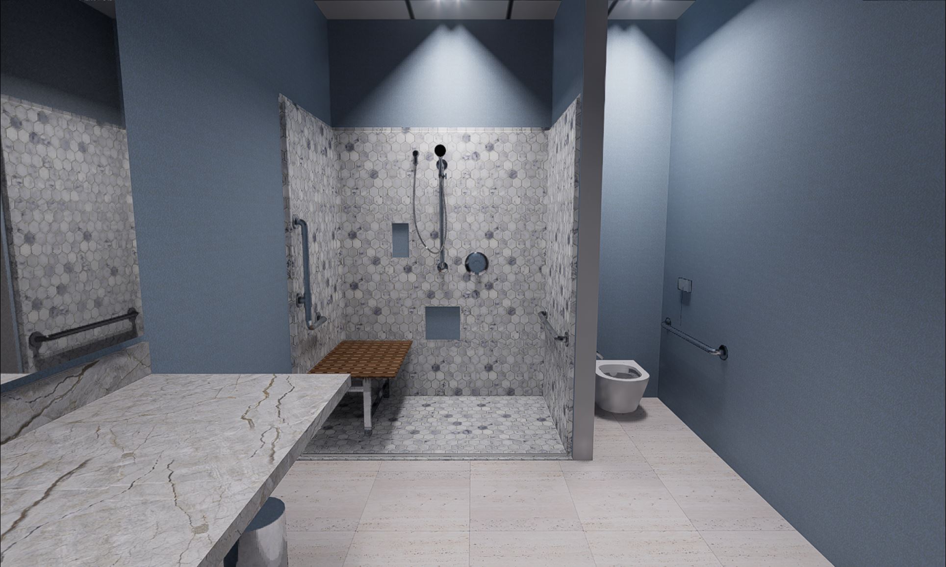 Hospital shower and toilet